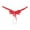 16#Red, variant on Clothing 2025 Thongs for Women T Pants Panties Embroidery Lace Fashion Transparent Low Waist Hot Massage Pearl Open Crotch Thong Thongs Underpants Women Underwear Thongs