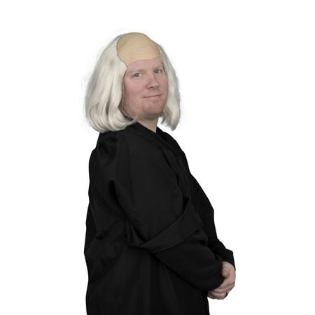 Ben Franklin President Costume Accessory Deluxe Wig