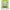Green, variant on 55 Inch Kids Trampoline with Padded Frame and Safety Net, Colorful Star Pattern for Indoor Outdoor Fun Activities