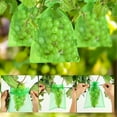 thumbnail image 3 of 100Pcs Grape Protectors with Drawstring Fruit Mesh Bag Protector Organza Gift Bags, 3 of 8