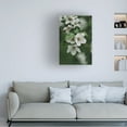 thumbnail image 3 of Trademark Fine Art Eva Bronzini Spring Series - Apple Blossoms in the Rain 4 12 Canvas Wall Art, 3 of 4