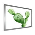 thumbnail image 2 of Designart 'Close Up Green Southwestern Cactus' Tropical Framed Art Print, 2 of 4