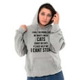 thumbnail image 4 of I Have 99 Problems I Mean Cats Funny Hoodie Sweatshirt Women Brisco Brands X, 4 of 6
