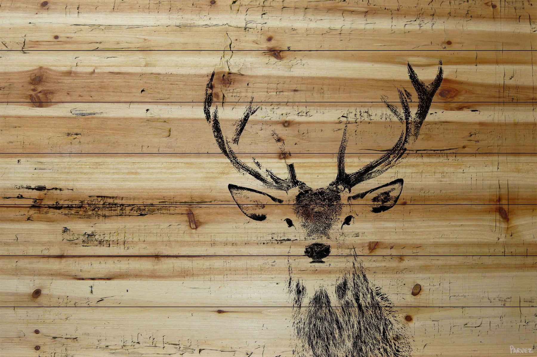 "Inquisitive Deer" Painting Print on Natural Pine Wood