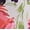 Desert Peony Champagne, variant on Women's and Women's Plus Maxi Godet Dress, Sizes 0-26W