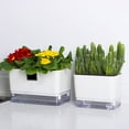 thumbnail image 6 of Self Watering Plant Pot Self Watering Planter with Visible Reservoir Square Planter Pot Double Layer Flowerpot for Indoor Plants (Square L), 6 of 10