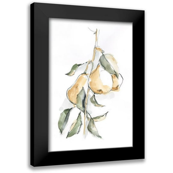 Harper, Ethan 11x14 Black Modern Framed Museum Art Print Titled - Watercolor Fruit Contour I