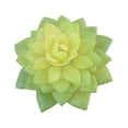 thumbnail image 1 of 10x Fake Succulents Small Vivid Useful Simulated Plants Multi-functional Lifelike Photo Props for Household Yards Lawn Flowerpot Type 25, 1 of 9