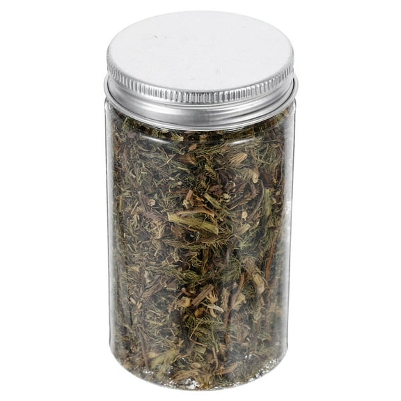 FRCOLOR 1 Set Of Static Plant Decoration Diorama Grass Set For Creating Realistic Model Train Landscapes Miniature Landscape Artificial Grass And Bush