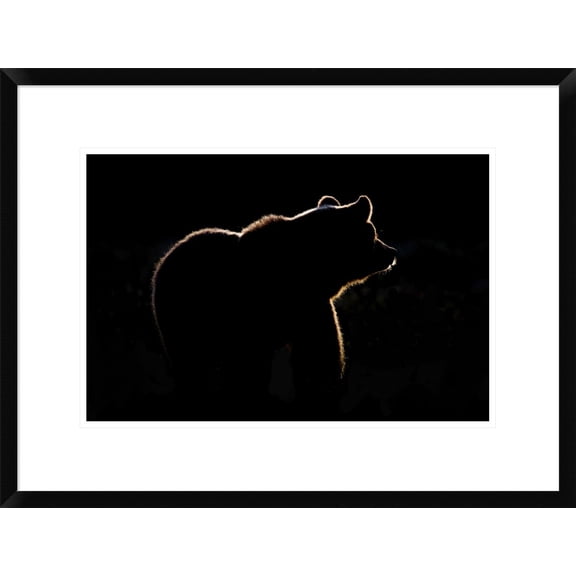 Global Gallery Gorazd Golob 'Highlight' Framed Wall Art