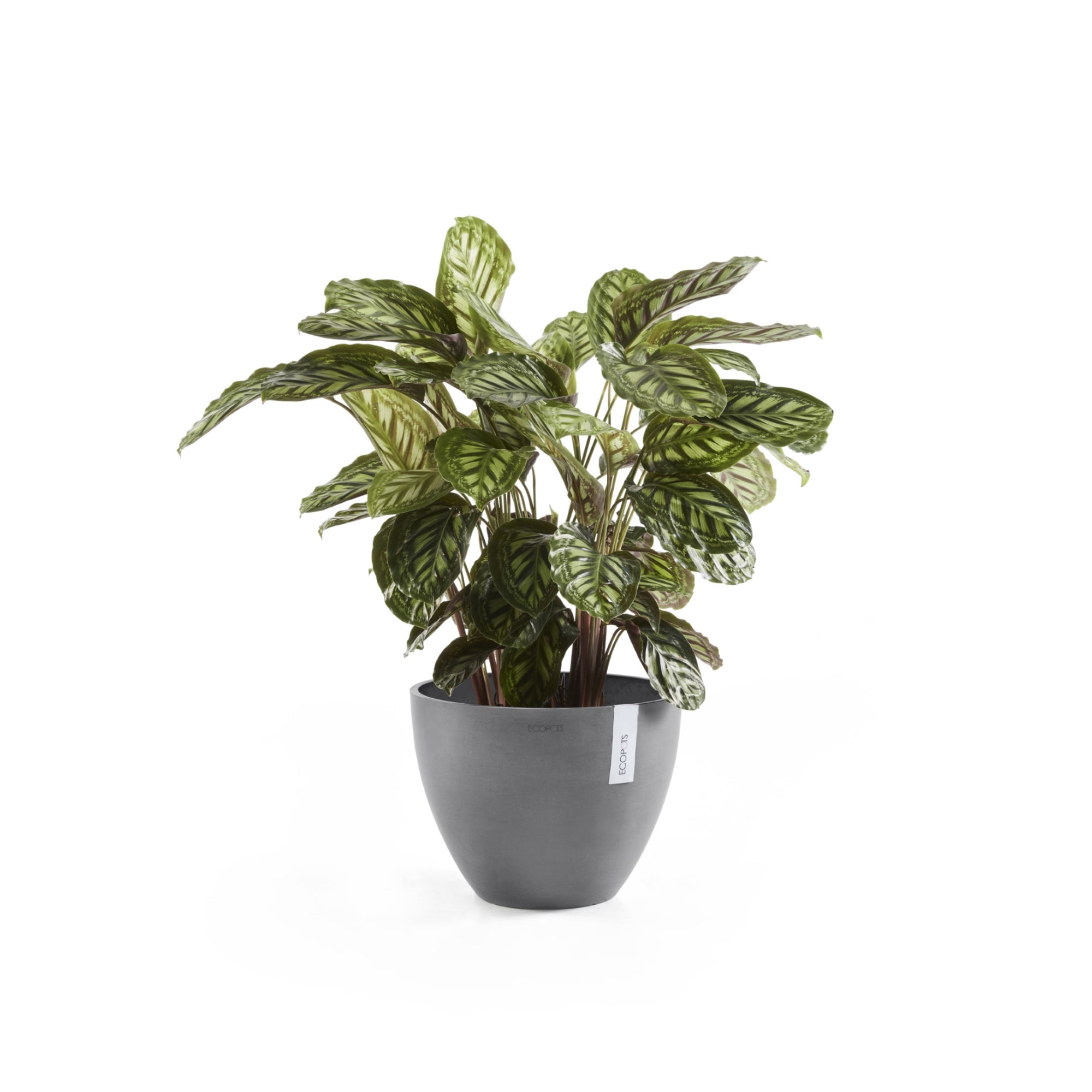 Ecopots Antwerp Durable Modern Round Indoor/Outdoor Recycled Based Composite Flower Pot Planter, Grey, 12"