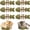 6 PCS, variant on Catnip and Silvervine Chew, Natural Fishbone Chew Toy for Cats, Fishbone-Shaped Cat Dental Toy for Chewing, Licking, Pawing, Boredom Relief & Enrichment for Cats