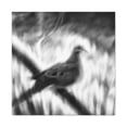 thumbnail image 2 of Mourning Dove Impressionism - Canvas, 2 of 25