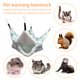 thumbnail image 4 of Litera Cama para mascotas Hamaca Loro Ardilla Rata Planeador del azúcar Casa Dormir y jugar Hugtrwg  Para estrenar, 4 of 7