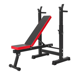 NEWMODERN GYM bench with Rack