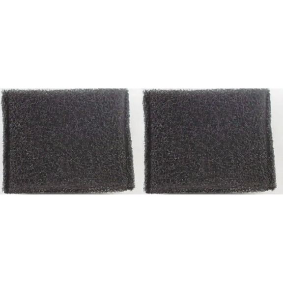 Hoover Steam Vac Filters #440007364 - 2/Pk