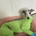 thumbnail image 5 of UOSIA Italian Greyhound Whippet Dog Fleece Dinosaur Onesie, Turtleneck Costume Outfit, 5 of 6