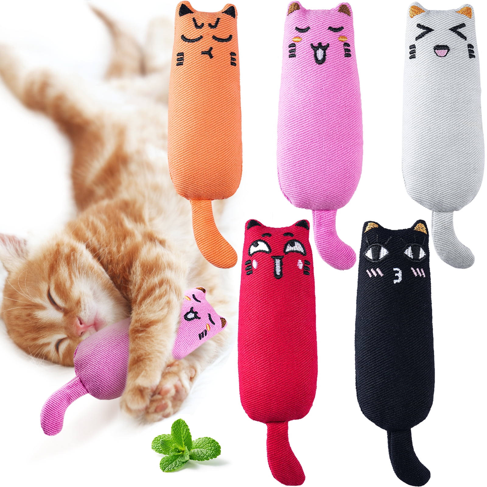 Legendog 5Pcs Cat Chew Toys Bite Resistant Catnip Toys Kitty Cartoon