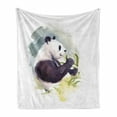 thumbnail image 1 of Panda Soft Flannel Fleece Blanket, Watercolor Illustration of a Panda Eating Bamboo Leaves Animalistic Side View Pattern, Cozy Plush for Indoor and Outdoor Use, 50" x 70", Multicolor, by Ambesonne, 1 of 6