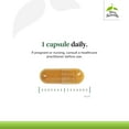 thumbnail image 4 of Terry Naturally Optimal Wellness - Immune, Respiratory & Brain Health Support - Supports Liver Health with Curcumin - Provides Powerful Antioxidant Support - 30 Capsules (30 Servings), 4 of 7