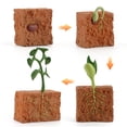thumbnail image 2 of 4pcs Simulation Plant Growth Cycle Model Action Figures Soil Seed Germination Growth Process Cognitive Toys For Kids, 2 of 6