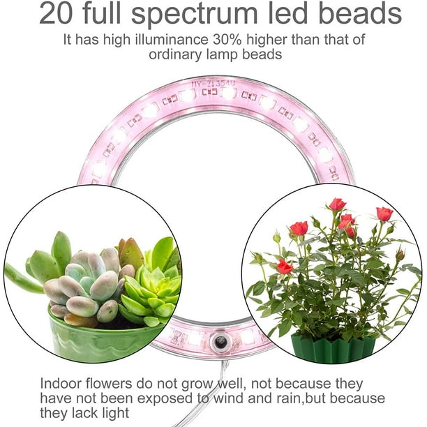 Grow lights walmart canada online
