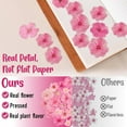 thumbnail image 5 of 48 Pcs Mix Cherry Blossom Natural Dried Pressed Flowers for Cake Decorating, Tutuviw Real Dry Flower for Cupcake Toppers, Resin Jewelry Making, DIY Art Crafts (Pink), 5 of 7