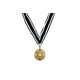 thumbnail image 2 of Collar: Medalla con el escudo imperial mandaloriano de STAR WARS, 2 of 7
