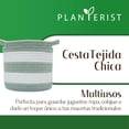 thumbnail image 2 of Planterist Cesta Organizadora Chica Tejida – Algodón Lavable, Plegable y Portable – Multiusos 19.5x17.5 cm para Almacenaje, Decoración y Ropa Sucia (Santa Catarina), 2 of 9