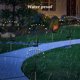thumbnail image 3 of Bewildely 2 piezas de luz Solar para jardín, Patio trasero, Patio de casa, lámpara de tierra impermeable, accesorios de iluminación para exteriores, Iluminación y accesorios Blanco cálido Bewildely HA073260-01, 3 of 6