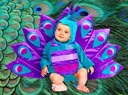 peacock halloween costume baby