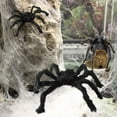 thumbnail image 6 of Bullpiano Halloween Spider Decorations, Realistic Hairy Spiders, Scary Spider Props for Indoor, Outdoor and Yard Creepy Decor, 6 of 9