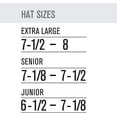 thumbnail image 3 of Easton Z5 2.0 Matte Solid Batting Helmet - Senior | Charcoal | Senior, 3 of 3