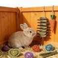 thumbnail image 3 of WLGJL 18 PCS Bunny Chew Toys for Teeth, Natural Rabbit Toys Apple Wood Grass timothy Sticks Chew and Treat for Guinea Pigs Hamster Chinchillas, 3 of 7