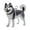 Husky, variant on Dog Hair Memory Capsule 7cm Plastic Keepsake Pendant for Pet Fur, Small Portable Keychain for Pomeranian, Husky, Corgi Memorial Gift for Pet Lovers