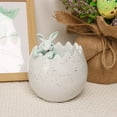 thumbnail image 6 of THHEIC Easter Spring Egg Shape Flower Pot, Bunny Decor Garden Pot for Cactus and Succulents, Decorative Planter for Home, Farmhouse Easter Decoration, and Patio, 6 of 7