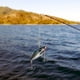thumbnail image 5 of Señuelo Artificial VIB de imitación, capa de natación completa, cebos duros, accesorio de aparejos de pesca, 5 uds., 5 of 8