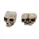 thumbnail image 5 of Skull Head Resin Planter, Halloween Decoration Retro Human Skull Head Flower Pot Planter, Skull Plant Pot Art Decor for, Cute Planters, 5 of 5