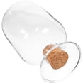 thumbnail image 2 of Shisuyan Glass Match Holder Match Container Transparent Laboratory Specimen Bottle, 2 of 8
