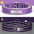 thumbnail image 3 of Didog Reflective Soft Padded Nylon Personalized Dog Collar Adjustable Name & Number Engraved for Small/Large Dogs, 3 of 5