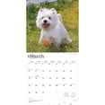 thumbnail image 3 of West Highland White Terriers | 2026 12x24" (Hanging) Wall Calendar | Plastic-Free, 3 of 9