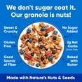 thumbnail image 4 of NuTrail Nut Granola Cereal, Blueberry Cinnamon, No Sugar Added, Keto, Gluten Free,  11 oz. 1 Count, 4 of 9