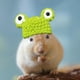 thumbnail image 2 of Gorro de punto para hámster, adorable gorro para mascota pequeña, con correa ajustable, diseño de ranas, conejos y zanahorias, plegable y portátil, de lana suave, ideal para hámsteres y, 2 of 8