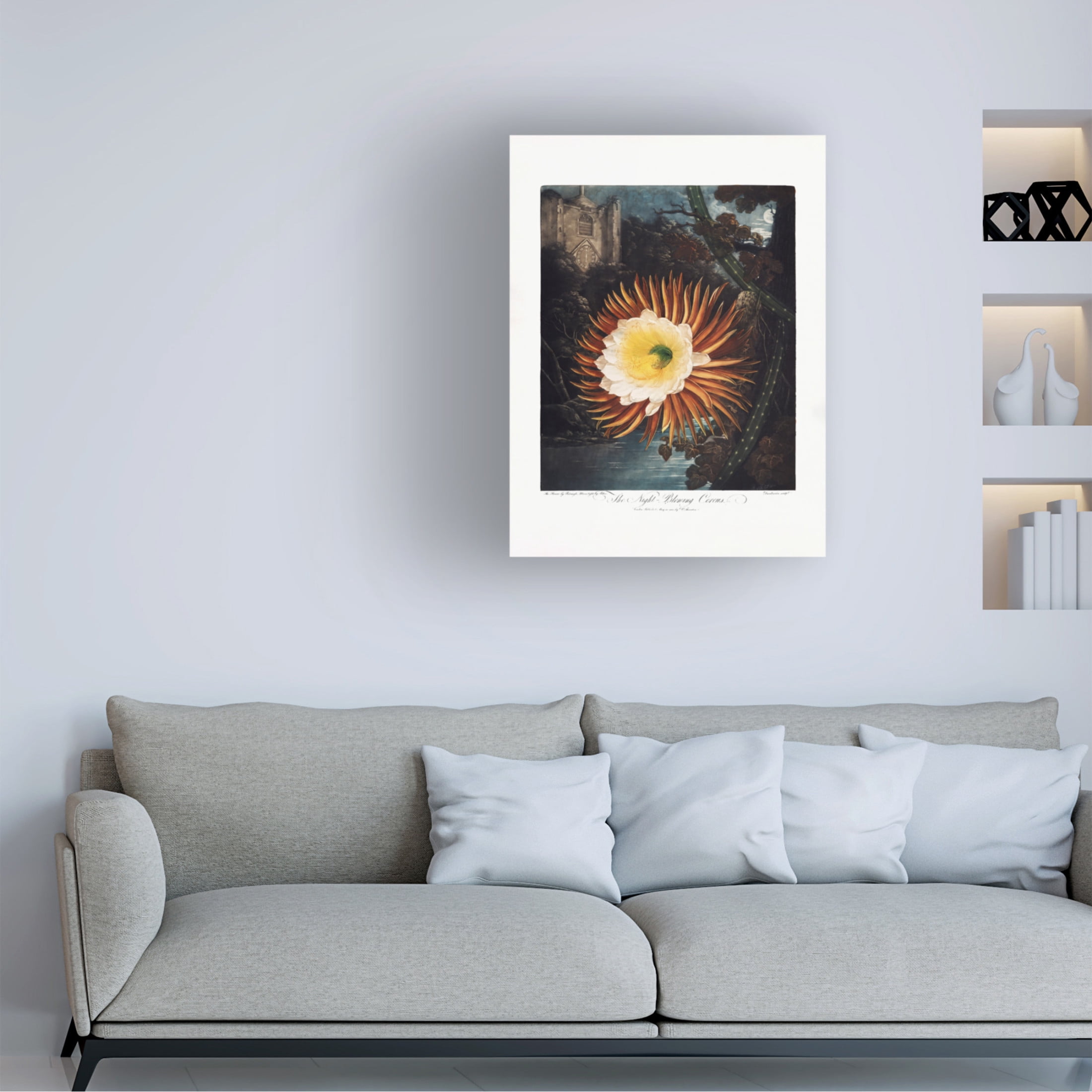 Trademark Fine Art Pictufy  The NightaBlowing Cereus from The Temple of Flora 1807 Canvas Wall Art