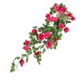 thumbnail image 1 of ziyahi Artificial Rose Garland Simulation Flower Vine Floral Decor Wall Hanging Plastic artificial Flower Rattan, Rose Red, 1 of 8