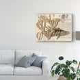 thumbnail image 3 of Trademark Fine Art 'Sea life Journal II' Canvas Art by Vision Studio, 3 of 4