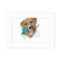 thumbnail image 1 of Animal Paper Break Shocks Dogs Photo Mount Frame Picture Art Painting Desktop 5x7 inch, 1 of 3