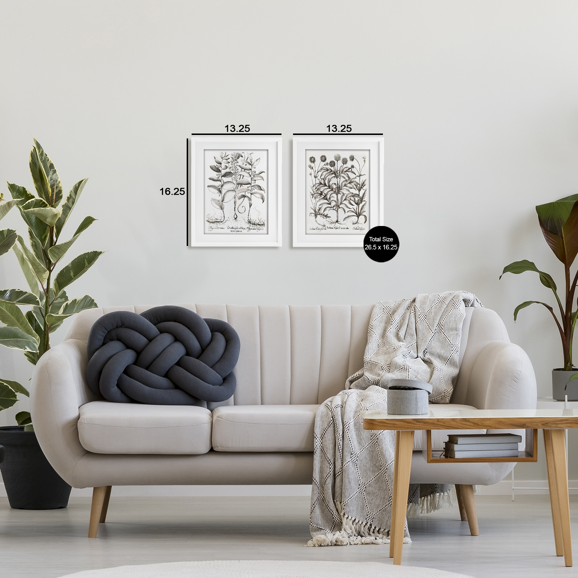 Botanical Root & Plant Studies 2 Piece White Framed Print Under Glass Set, design by Lettered and Lined