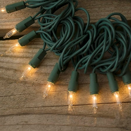 Outdoor String Lights String Lights 46 Feet Green Wire Outdoor Twinkle Controller Warm White ...