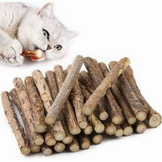 Do Cat Dental Toys Work: Proven Benefits for Healthy Teeth